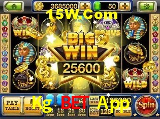 Experiência VIP Kg Bet App